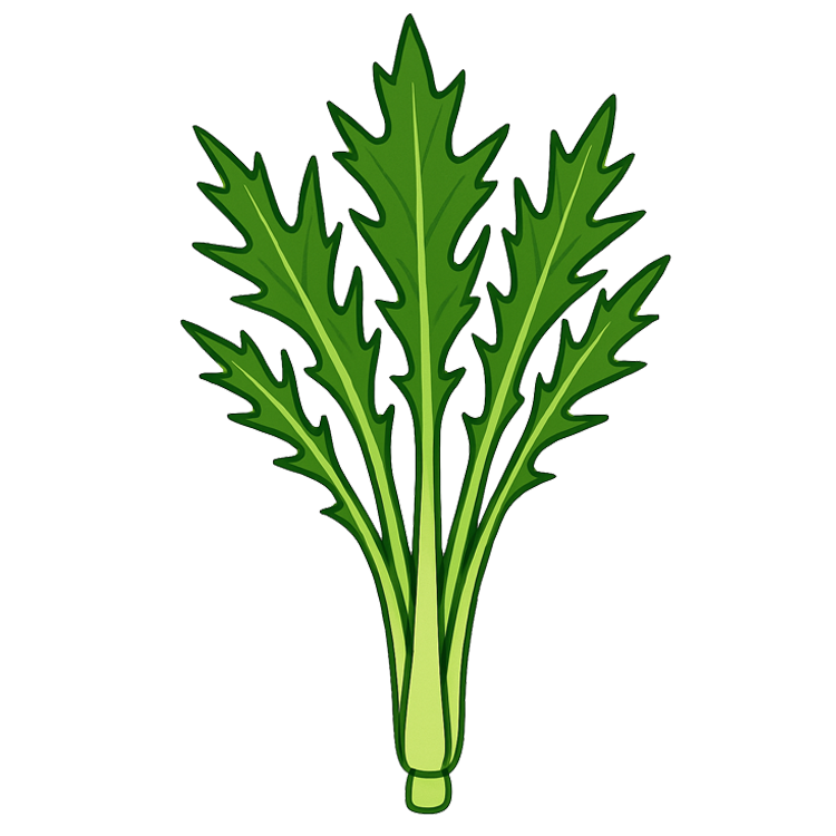 mizuna แปลว่า ผักน้ำญี่ปุ่น