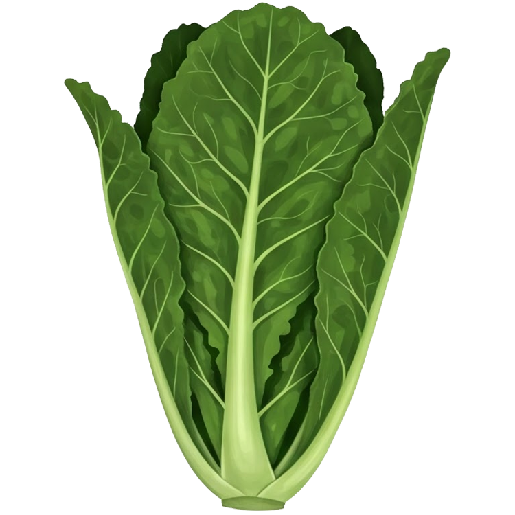 kale แปลว่า กะหล่ำปลีชนิดหนึ่งสีเขียวเข้ม