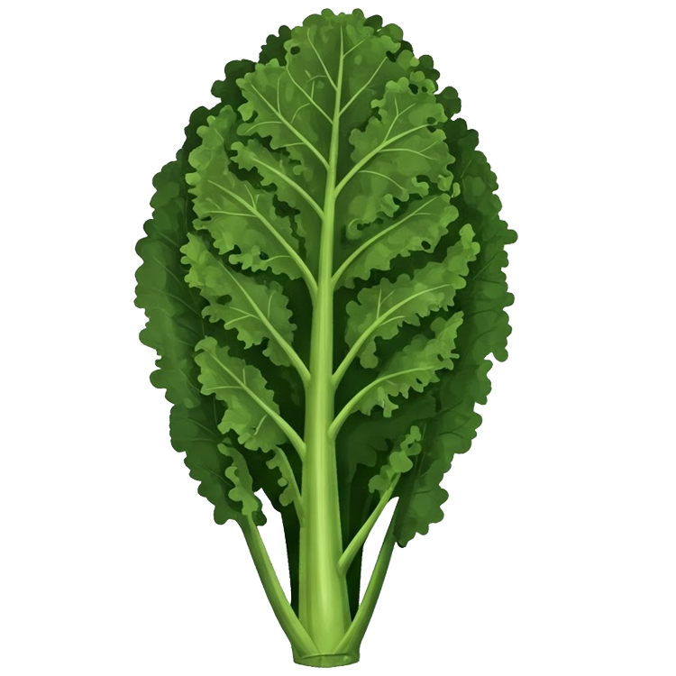 dinosaur kale แปลว่า คะน้าไดโนเสาร์