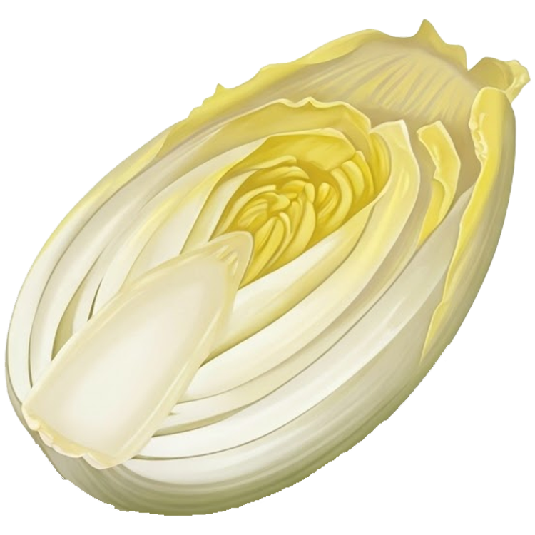 chicory แปลว่า ผักชิโครี่