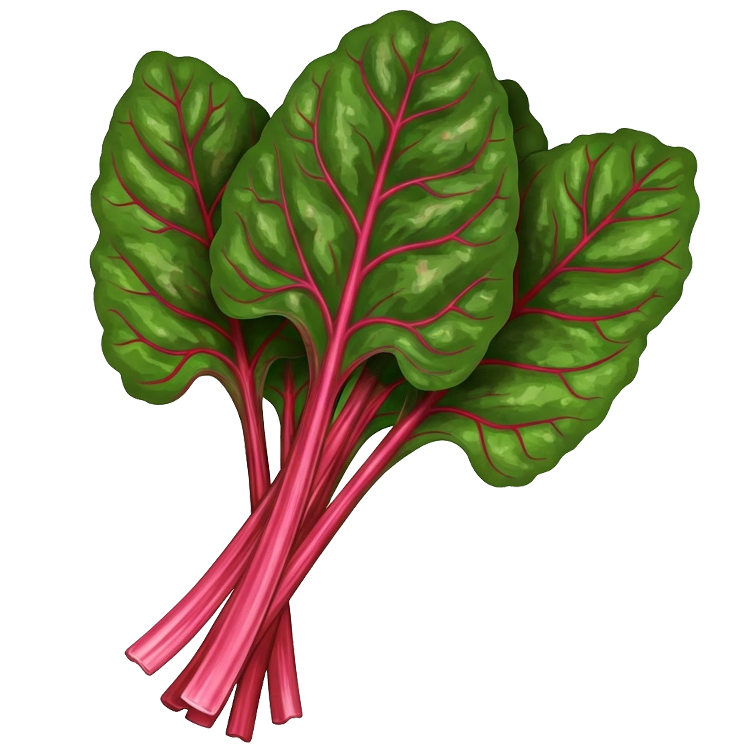 swiss chard แปลว่า ผักสวิสชาร์ด