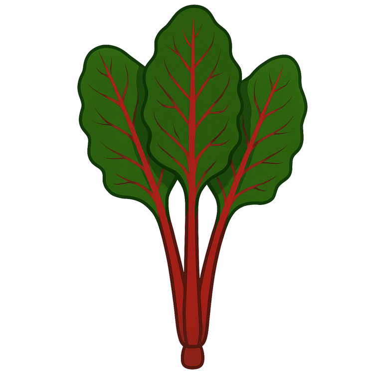 red chard แปลว่า ผักสวิสชาร์ดแดง