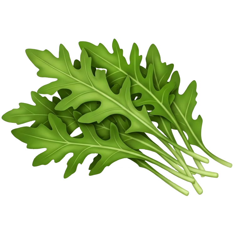 arugula แปลว่า ผักสลักร็อคเก็ต