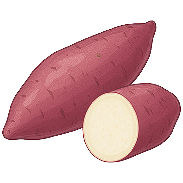 sweet potato แปลว่า มันเทศ