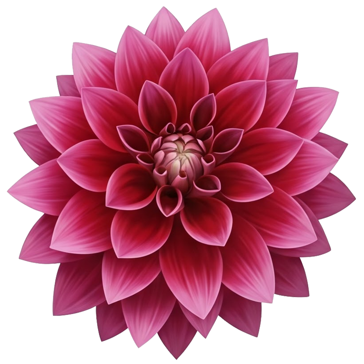 dahlia แปลว่า ดอกรักเร่