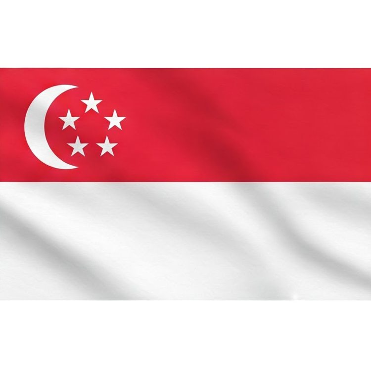 Singapore แปลว่า สิงคโปร์