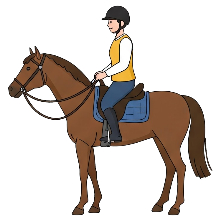 ride a horse แปลว่า ขี่ม้า