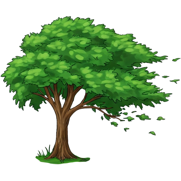 windy แปลว่า ลมแรง