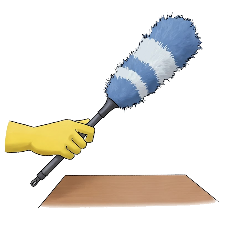 do the dusting แปลว่า ปัดผุ่น