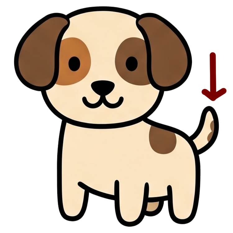 tail แปลว่า หาง