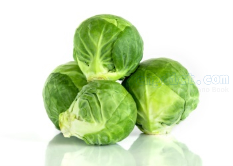 Brussels sprout แปลว่า กะหล่ำดาว