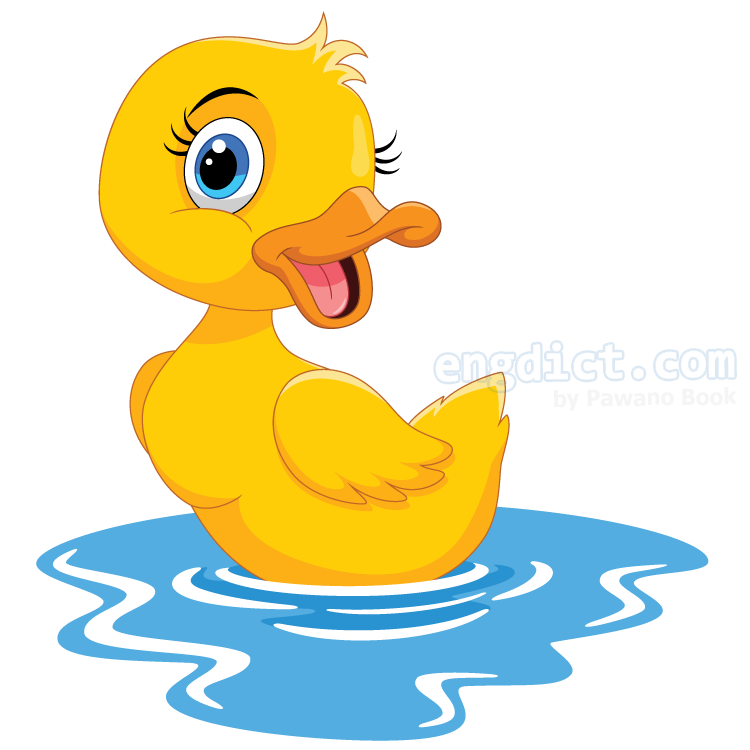 This  is a duck. It can swim. แปลว่า นี่คือเป็ด มันสามารถว่ายน้ำได้
