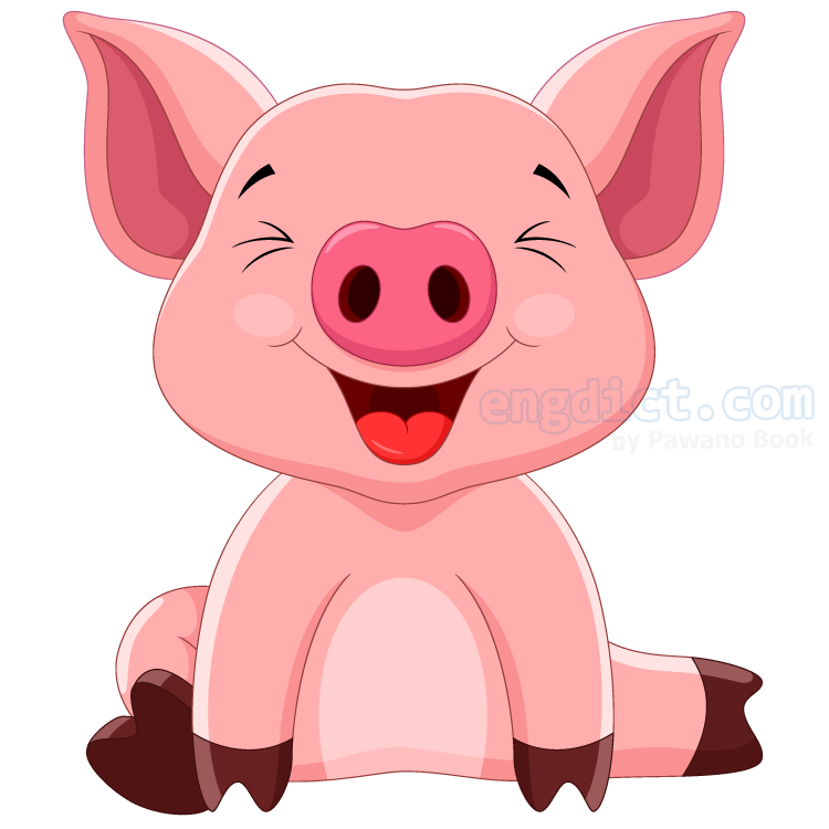 Year of the Pig แปลว่า ปีหมู (ปีกุน)