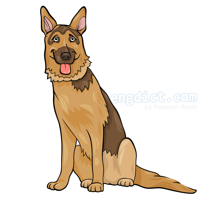 alsatian แปลว่า สุนัขพันธ์ุอัลเซเชียน