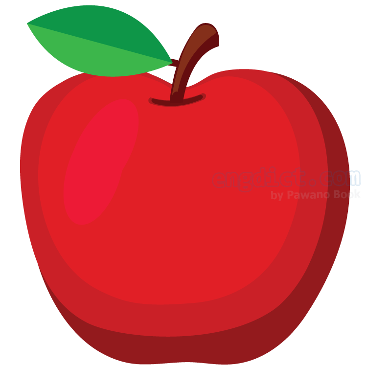 apple แปลว่า แอปเปิ้ล
