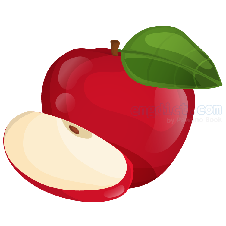 apple แปลว่า แอปเปิ้ล