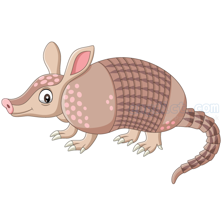 armadillo แปลว่า ตัวนิ่ม