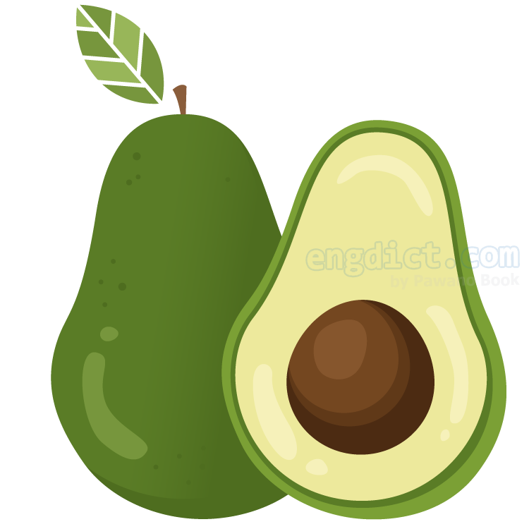 avocado แปลว่า อาโวคาโด