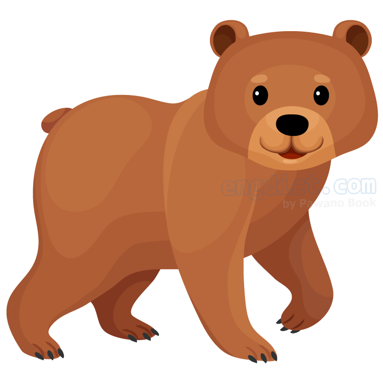 bear แปลว่า หมี