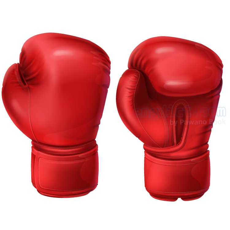 boxing glove แปลว่า นวมชกมวย