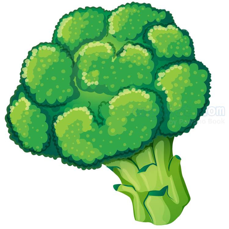 broccoli แปลว่า ผักบรอคโคลี่