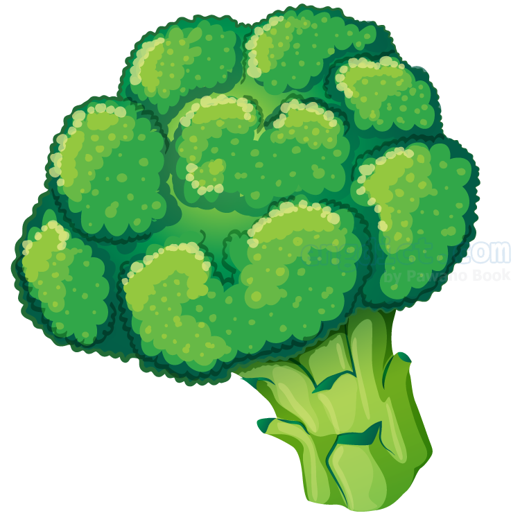 broccoli (บรอคคะลี) แปลว่าอะไร? ดูความหมาย ภาพประกอบ ตัวอย่างประโยค | ENGDICT.COM Broccoli (บรอคคะลี) แปลว่าอะไร? ดูความหมาย ภาพประกอบ ตัวอย่างประโยค | Engdict.Com