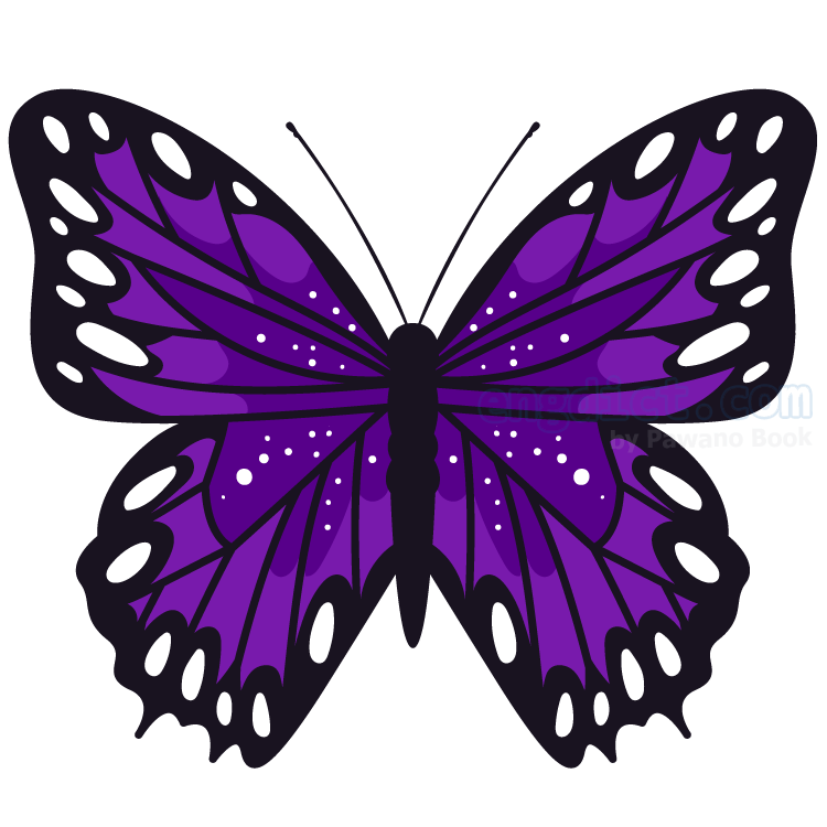 Butterfly (บัทเทอะฟลาย) แปลว่าอะไร? ดูความหมาย ภาพประกอบ ตัวอย่างประโยค ...