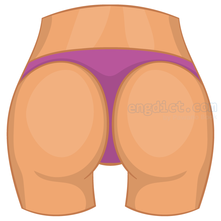 buttock แปลว่า สะโพก