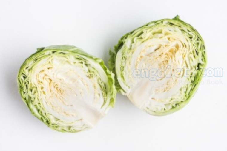 cabbage แปลว่า กะหล่ำปลี