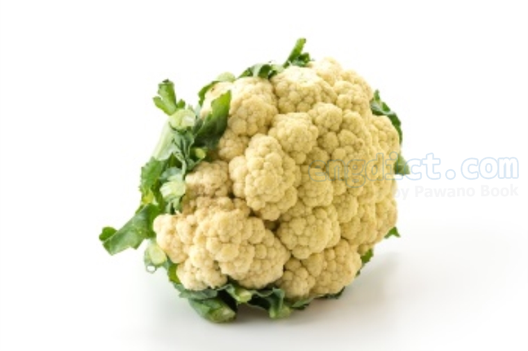 cauliflower แปลว่า ผักกะหล่ำดอก