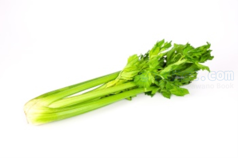 celery แปลว่า ผักคื่นช่าย