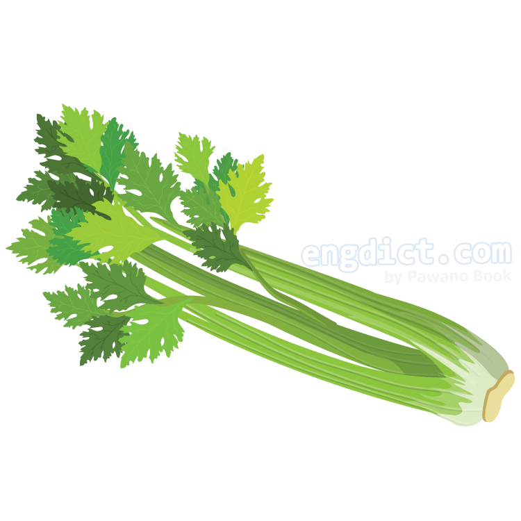 celery แปลว่า ผักคื่นช่าย