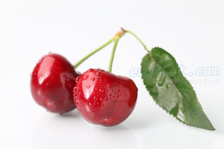 cherry แปลว่า เชอร์รี่