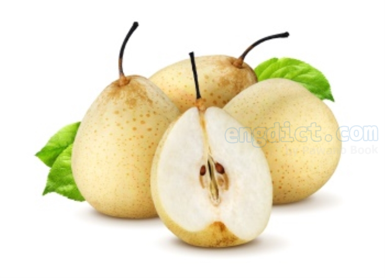 chinese pear แปลว่า สาลี่