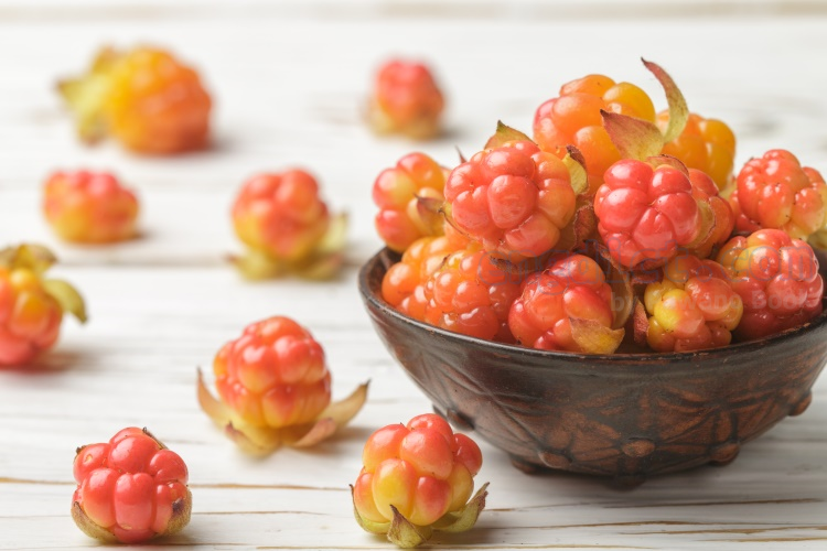 cloudberry แปลว่า คลาวด์เบอร์รี่