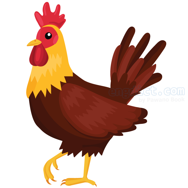 cock (คอค) แปลว่าอะไร? ดูความหมาย ภาพประกอบ ตัวอย่างประโยค | ENGDICT.COM Cock (คอค) แปลว่าอะไร? ดูความหมาย ภาพประกอบ ตัวอย่างประโยค | Engdict.Com