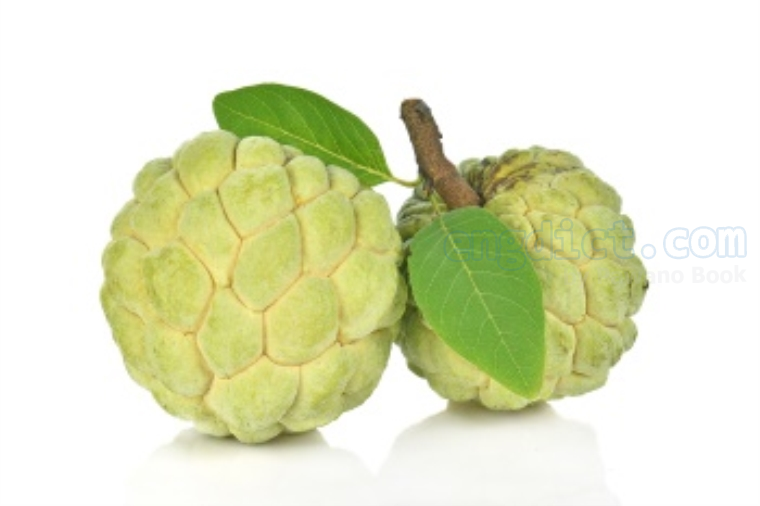 custard apple แปลว่า น้อยหน่า