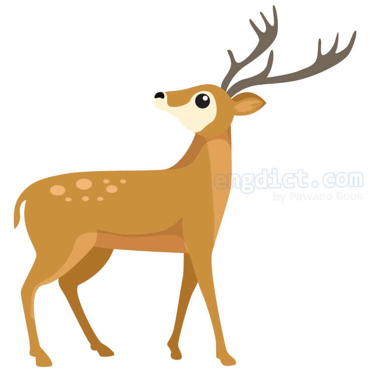 deer (เดีย) แปลว่าอะไร? ดูความหมาย ภาพประกอบ ตัวอย่างประโยค | ENGDICT.COM Deer (เดีย) แปลว่าอะไร? ดูความหมาย ภาพประกอบ ตัวอย่างประโยค | Engdict.Com