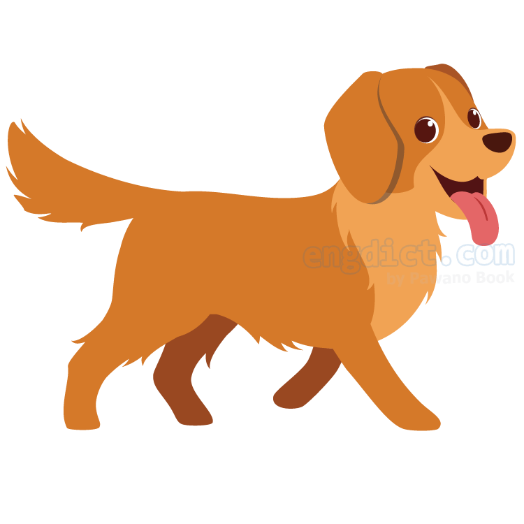 dog (ดอก) แปลว่าอะไร? ดูความหมาย ภาพประกอบ ตัวอย่างประโยค | ENGDICT.COM Dog (ดอก) แปลว่าอะไร? ดูความหมาย ภาพประกอบ ตัวอย่างประโยค | Engdict.Com