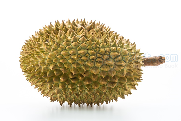 durian แปลว่า ทุเรียน