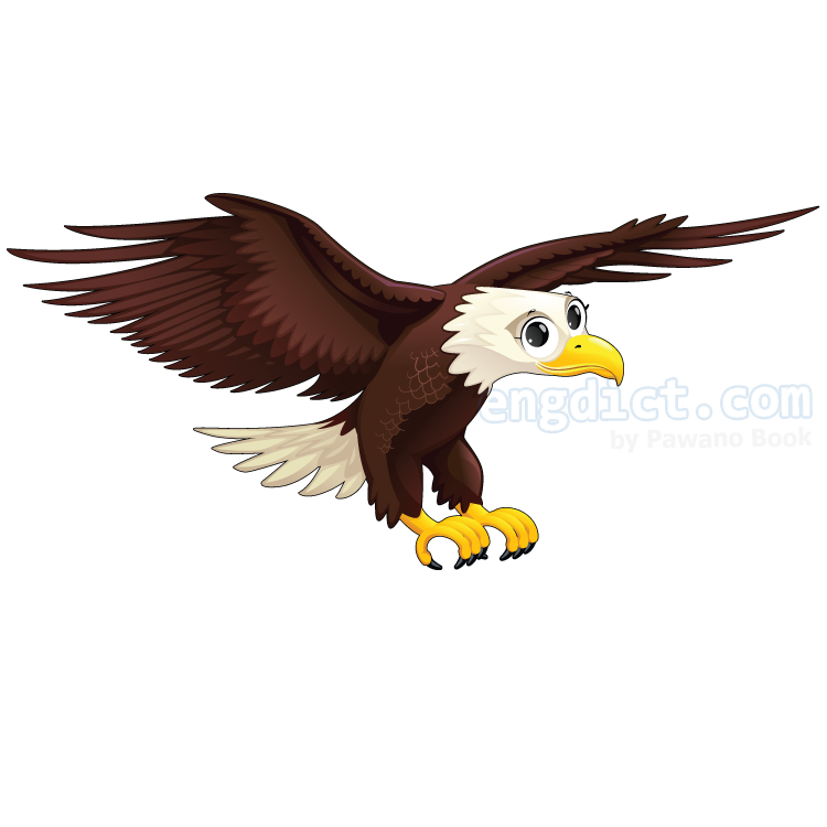 eagle แปลว่า นกอินทรี