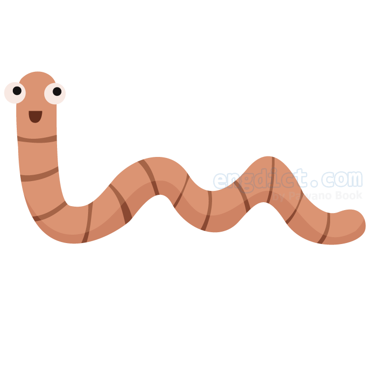 earthworm แปลว่า ไส้เดือน