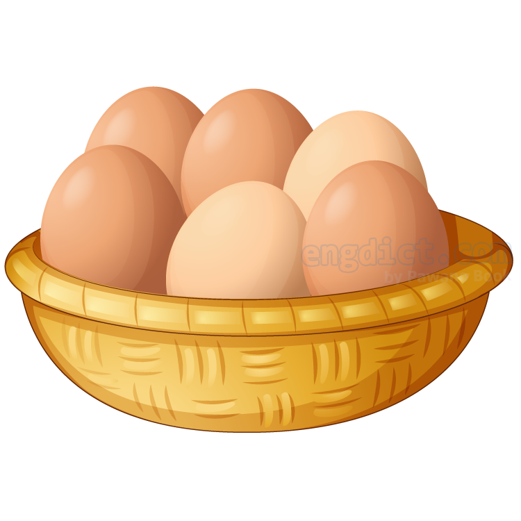 egg แปลว่า ไข่