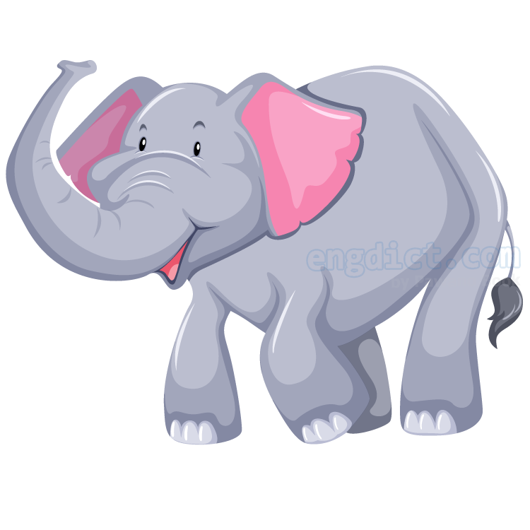 elephant แปลว่า ช้าง