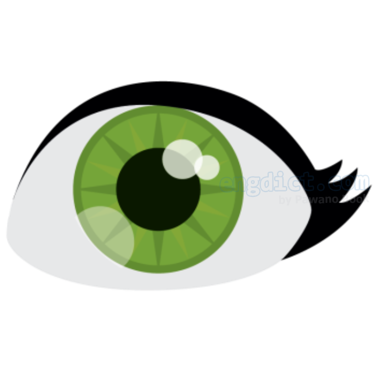 Eye (อาย) แปลว่าอะไร? ดูความหมาย ภาพประกอบ ตัวอย่างประโยค | Engdict.Com