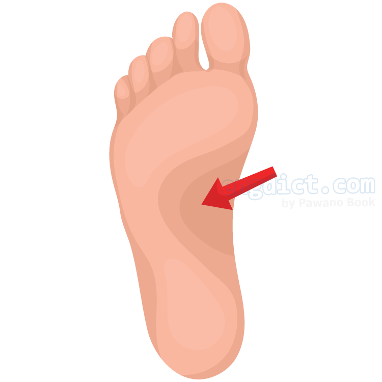 foot sole แปลว่า ฝ่าเท้า