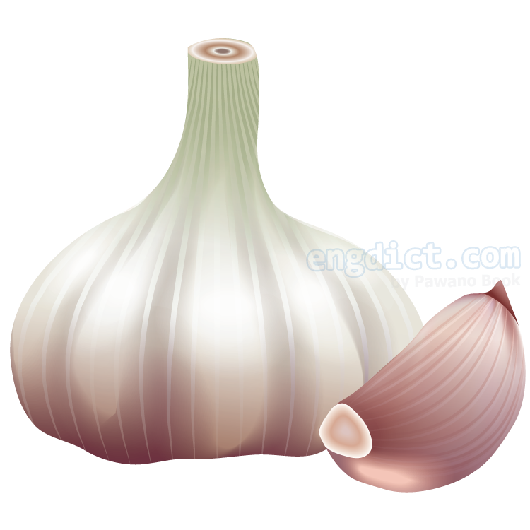 garlic แปลว่า กระเทียม