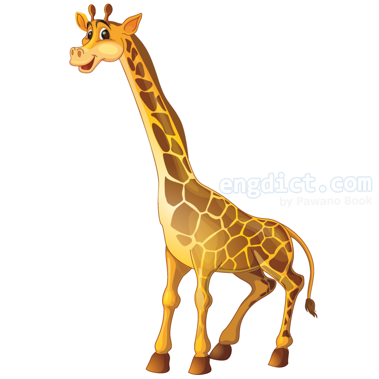 giraffe แปลว่า ยีราฟ