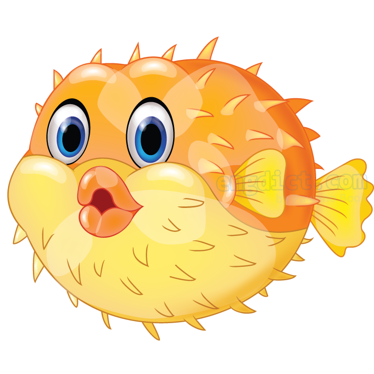 globefish แปลว่า ปลาปักเป้า