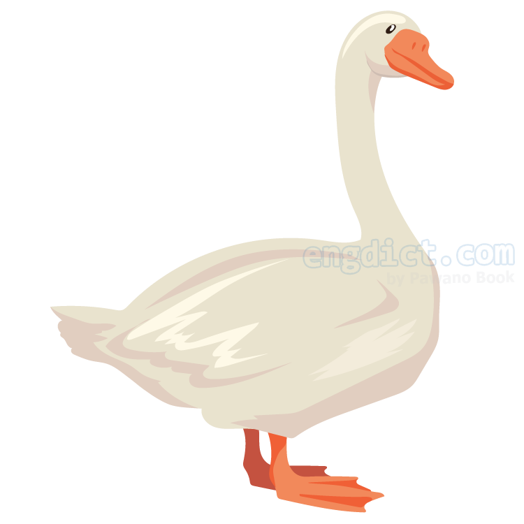 goose แปลว่า ห่าน